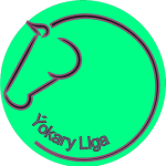 LEAGUE #527 logo