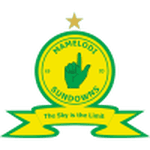 TEAM #10104 logo