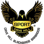 TEAM #10117 logo