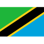 TEAM #10163 logo
