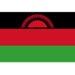TEAM #10164 logo