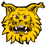 TEAM #10915 logo