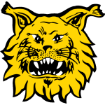TEAM #11169 logo
