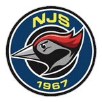 TEAM #11194 logo