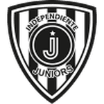 TEAM #11338 logo