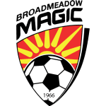 TEAM #11428 logo