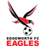 TEAM #11430 logo