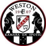TEAM #11434 logo