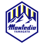 TEAM #11692 logo