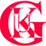 TEAM #11763 logo