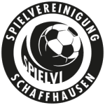TEAM #12300 logo
