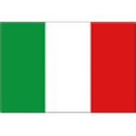 TEAM #12393 logo
