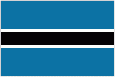 TEAM #12399 logo