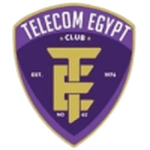 TEAM #12493 logo