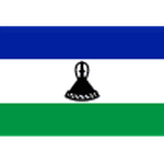 TEAM #12828 logo