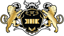TEAM #12863 logo