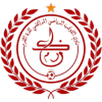 TEAM #12919 logo