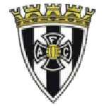 TEAM #13065 logo