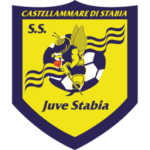 TEAM #13082 logo