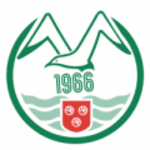 TEAM #13125 logo