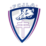 TEAM #13127 logo