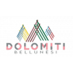 TEAM #13191 logo