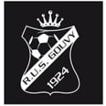 TEAM #13196 logo
