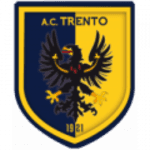 TEAM #13228 logo