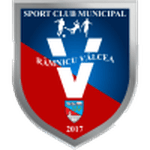 TEAM #13229 logo