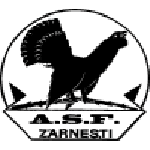 TEAM #13242 logo