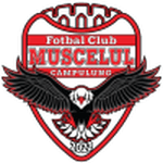 TEAM #13255 logo