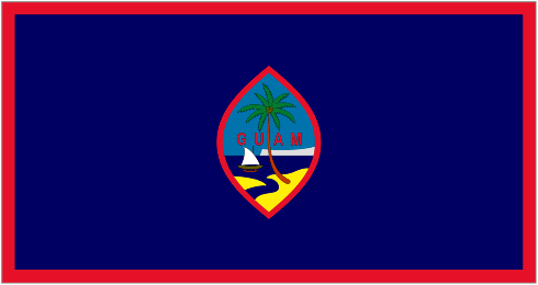 TEAM #13301 logo