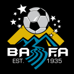 TEAM #13392 logo