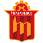 TEAM #13401 logo