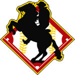 TEAM #13405 logo