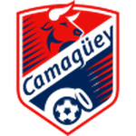 TEAM #13407 logo