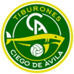 TEAM #13408 logo