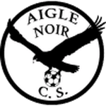 TEAM #13447 logo