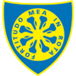 TEAM #13482 logo