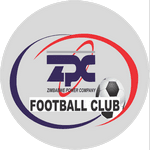 TEAM #13519 logo