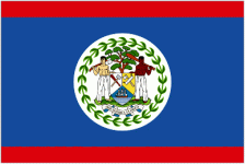 TEAM #13531 logo