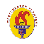 TEAM #13565 logo