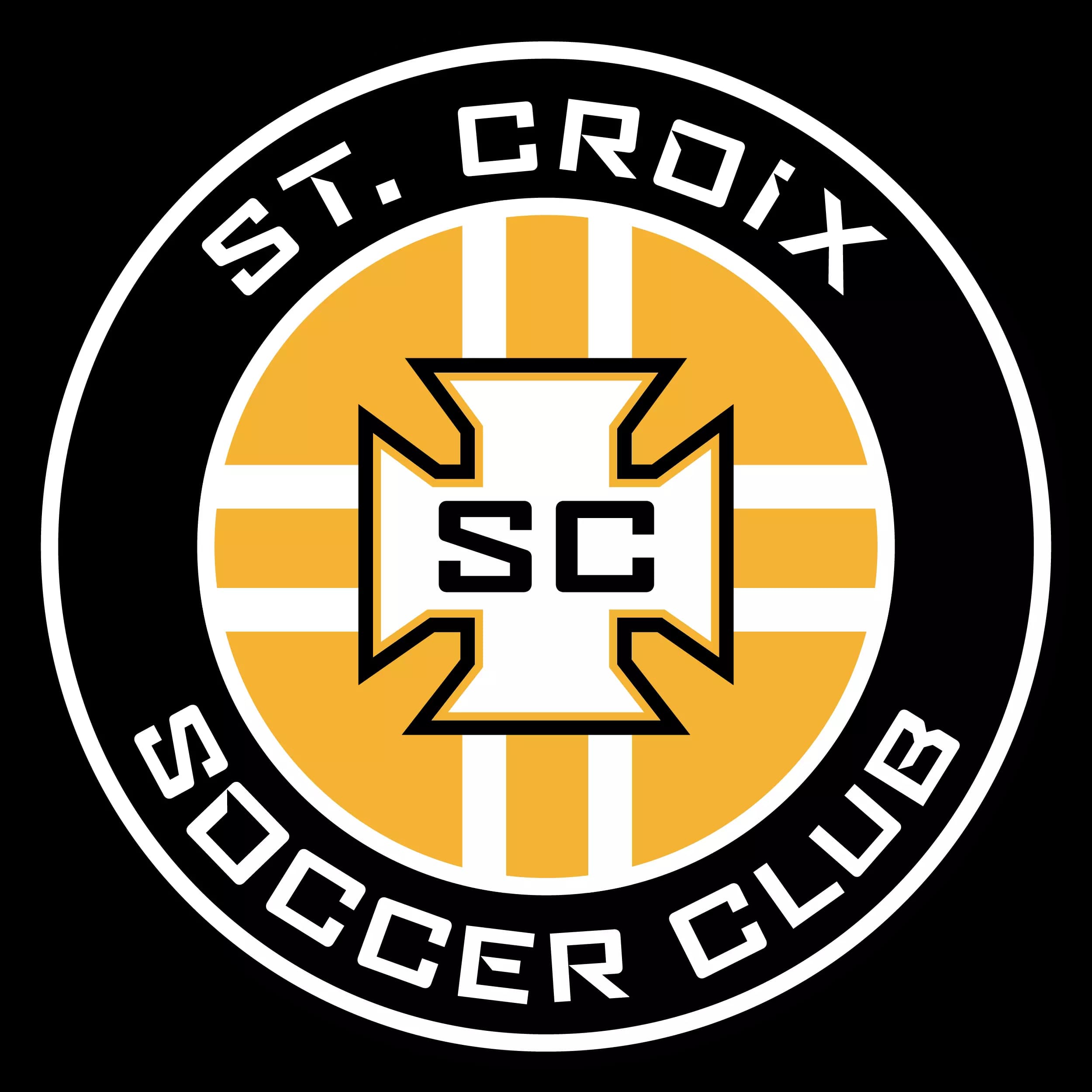 TEAM #13597 logo