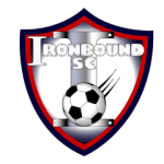 TEAM #13601 logo