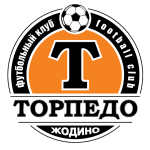 TEAM #13641 logo