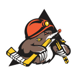 TEAM #13652 logo