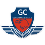 TEAM #13735 logo