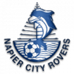 TEAM #13799 logo