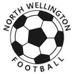 TEAM #13801 logo