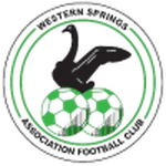 TEAM #13817 logo